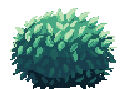 bush